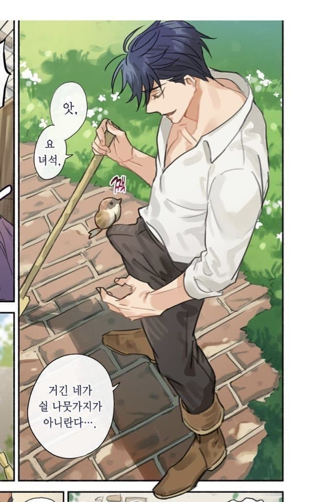 요즘 여성향 웹툰 근황.jpg